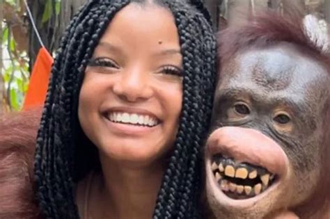 The Little Mermaid star Halle Bailey faced backlash after posting photos with zoo animals ...