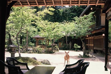 7 Hidden Ryokans In Hiroshima You Should Book In 2024