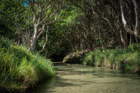 K'Gari-Fraser Island, gem of the Australian East Coast - My Dream Adventures