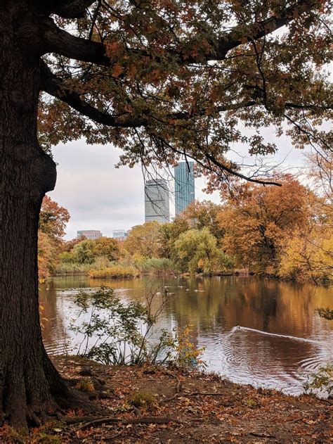 2023 Fall Foliage in Boston: 14 Best Spots, Timing, and More