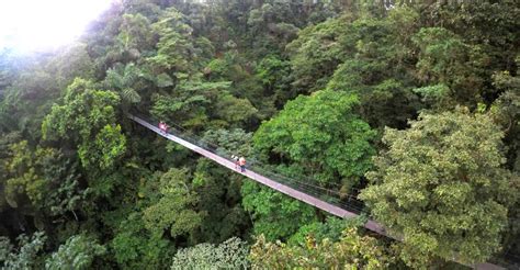 Arenal Hanging Bridges Half-Day Tour from La Fortuna | GetYourGuide