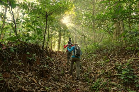 Corcovado National Park jungle hiking in Costa Rica