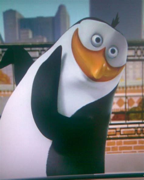 Image - Cute-Rico-penguins-of-madagascar-11603960-1024-1280.jpeg | Madagascar Wiki | FANDOM ...