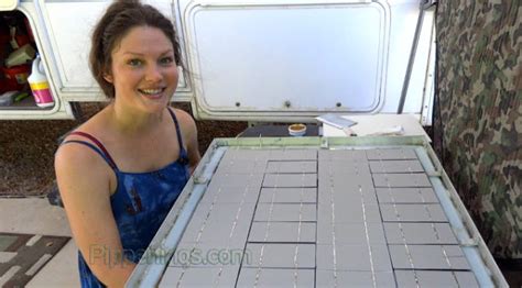 DIY Solar: How to Build a Solar Panel from Scratch ⋆ Pippenings.com