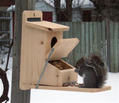 DIY Yard Decorations, Squirrel House Designs to Build and Feed Animals ...