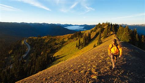 Hurricane Ridge in Olympic National Park