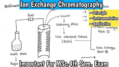 Ion Exchange Chromatography | Principle | Instrumentation |Application ...