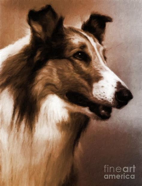 Lassie Painting by Esoterica Art Agency - Fine Art America