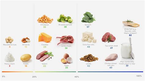 Healthy weight loss resources — Diet Doctor