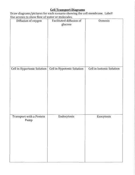 Active vs Passive Transport Diagrams & Chart