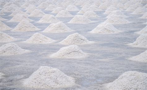 Pros and Cons of Using Salt Brine as a Snow Removal Method