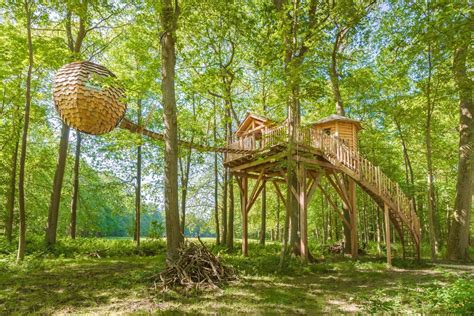 TREE HOUSES Rentals | treehouses stay | Tree houses Rental