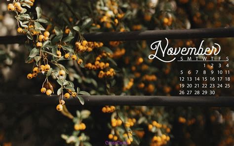 Free November Computer Desktop Calendars- Wallpaper Backgrounds