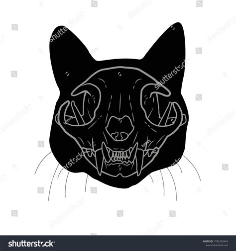 Editable Vector Cat Skull Head Anatomy Stock Vector (Royalty Free) 1782203444 | Shutterstock