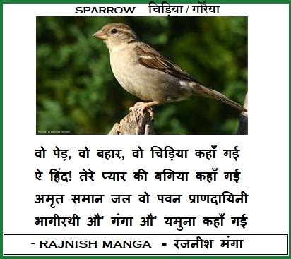 Sparrow / चिड़िया (Hindi) - Sparrow / चिड़िया (Hindi) Poem by Rajnish Manga