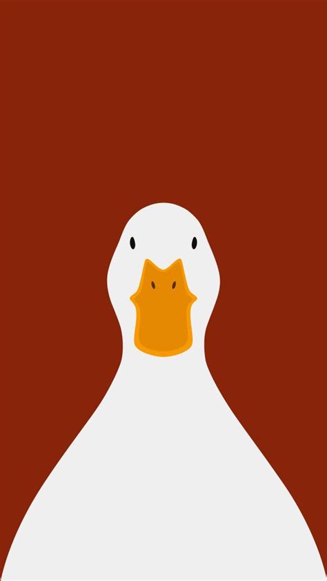 Domestic Duck - bird wallpaper for iPhone by birnimal on DeviantArt | Cute wallpaper backgrounds ...