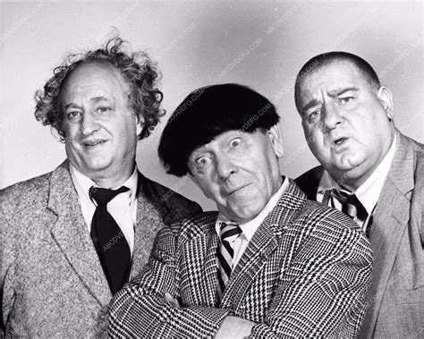 Found on Bing from www.pinterest.ca | The three stooges, Funniest ...