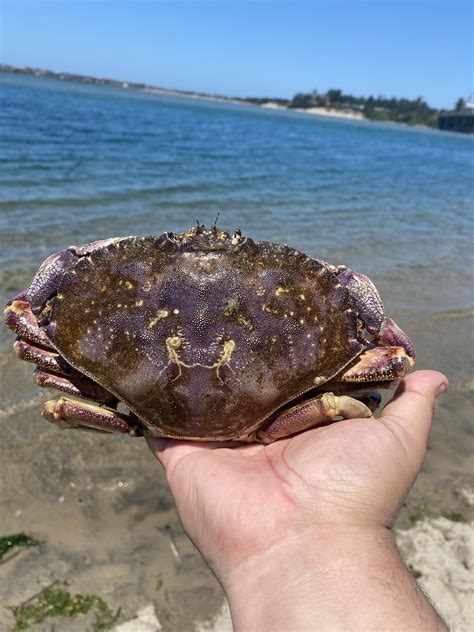 Beautiful day for Crabbing. : r/OregonCrabbing