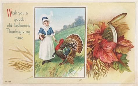 Why do we eat turkey on Thanksgiving? The history of the holiday tradition – San Bernardino Sun