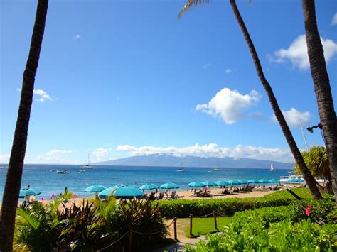 Westin Maui Resort & Spa Photo Gallery | Family Vacation Hub