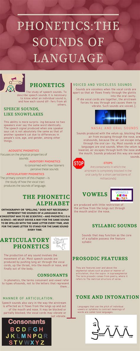 Phonetics The Sounds of Language - PHONETICS:THE SOUNDS OF LANGUAGE ...