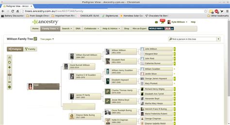 How To Download Your Family Tree From Ancestry.com | Kylie's Genes Blog