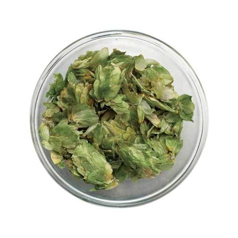 Citra® Hops Leaf 1 lb.