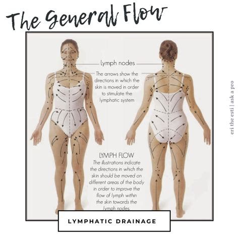 8 Easy Steps for Lymphatic Drainage — Enlighten Bodhi Spa | Lymphatic ...