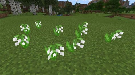 How to Make White Dye in Minecraft?