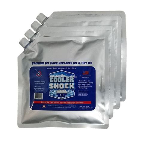 Cooler Shock Cooler Freeze Packs Reusable Screw Cap Size Medium Ice Packs 10 in. x 9.5 in. (4 ...