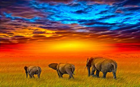 HD African Art Wallpaper (60+ images)