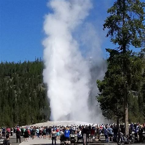 Best Things to Do In Yellowstone with Kids – Planning Away