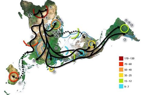 Bagaimana Migrasi Manusia Modern Keluar Afrika? Studi Terbaru Mencoba Menjelaskannya - Intisari