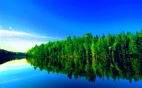 Forest Lake Wallpaper - WallpaperSafari