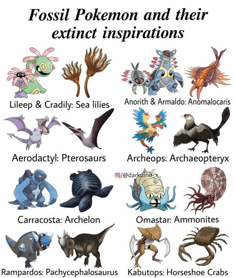 Fossil Pokemon and their extinct inspirations | Fossil pokemon, Pokemon, Pokemon fusion art