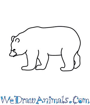 Easy Black Bear Drawing