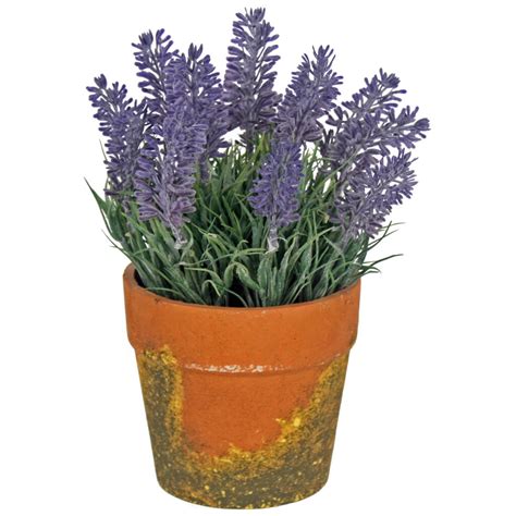 LAVENDER IN POT H:24cm - Originals