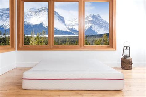 Douglas Mattress Coupon Code W/ Reviews (Discount Here!)