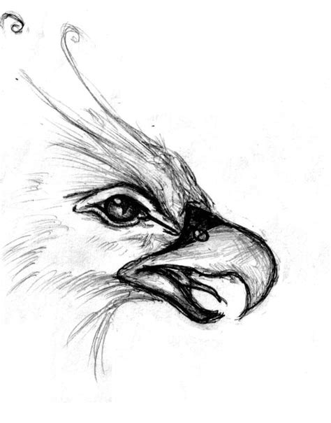 Raven Feather Drawing at GetDrawings | Free download