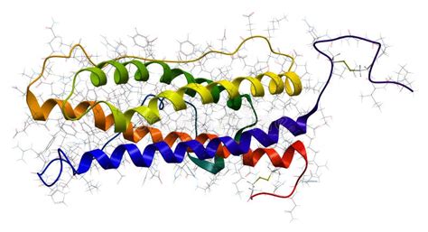 Prolactin hormone stock illustration. Illustration of model - 23245830