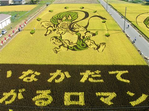 Japanese Town Transforms Rice Paddy Fields Into Gigantic Works Of Art | Viralscape