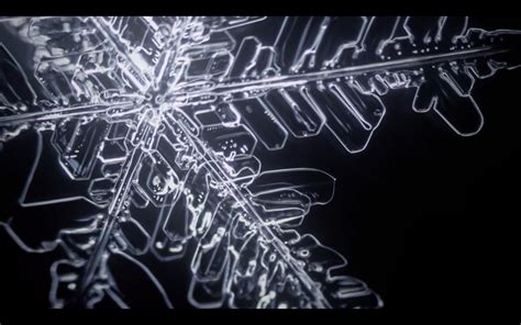 Watch This Mesmerizing Timelapse Video of How Snow Flakes are Formed - The Phoblographer