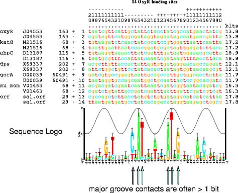 How To Read Sequence Logos