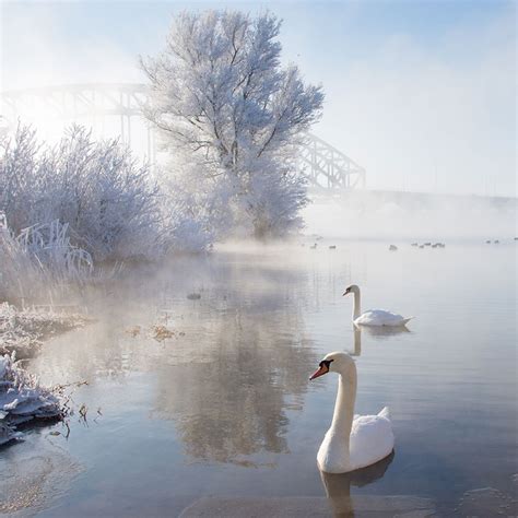 Amazing perfect winter scenes images - PHLEK ! PHLEK