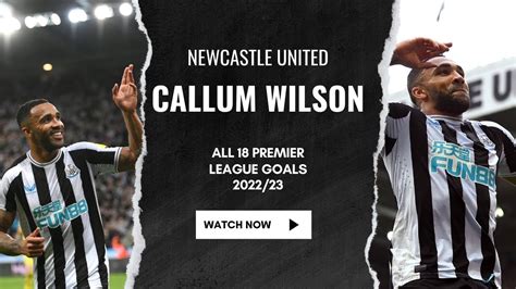 All Of Callum Wilsons 18 Premier League Goals In 2022/23!