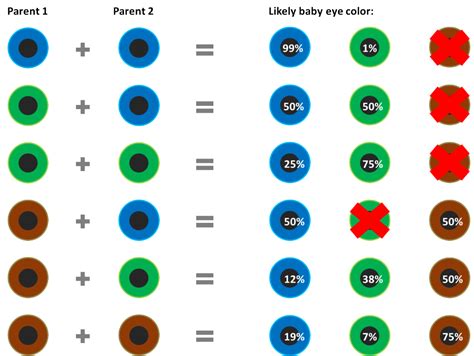 8 best eye color chart genetics images in 2020 eye color chart eye ...