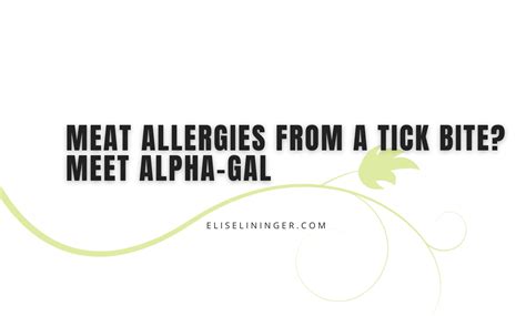 Meat allergies from a tick bite? Meet Alpha-Gal — Elise♡Detox life