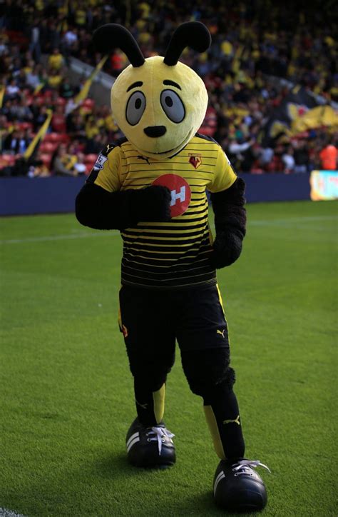 This season's Premier League mascots ranked