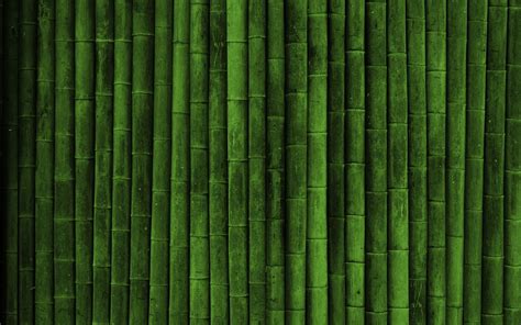 realistic, Bamboo, Green Wallpapers HD / Desktop and Mobile Backgrounds