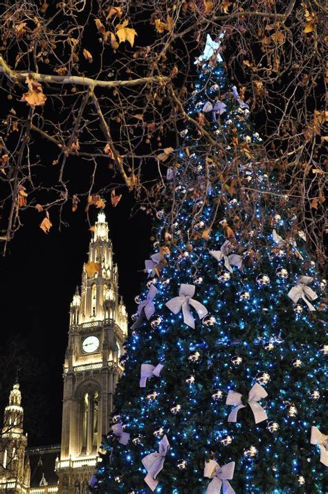 Vienna: Christmas Tree and City Hall | Vienna christmas, Vienna travel ...